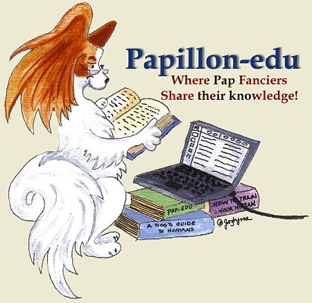 click picture to enter papillon-edu